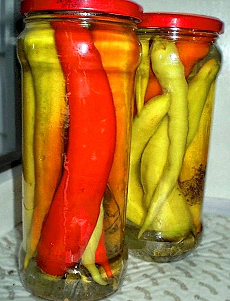 Options for preserving hot pepper for the winter, recipes