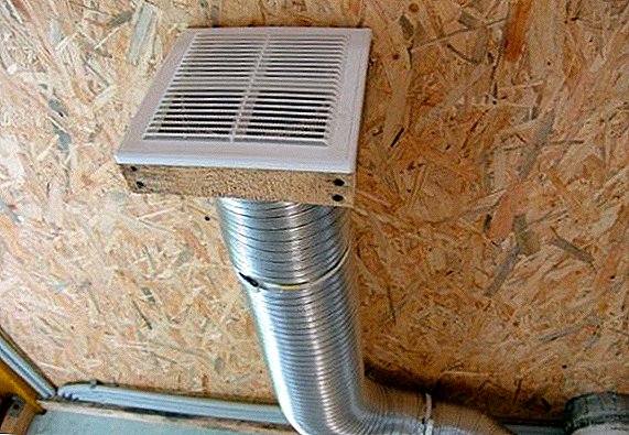 Ventilation in the chicken coop in winter and its types