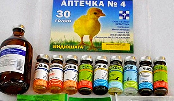 Veterinary first aid kit for broiler chickens