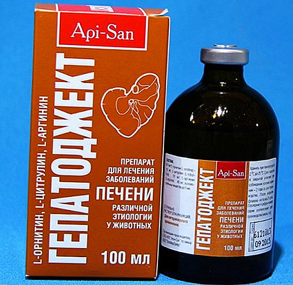Veterinary drug "Hepatodject": instructions, dosage