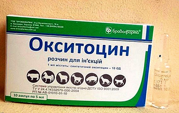 Medicamento veterinario oxitocina: indicaciones y efectos secundarios, instrucciones.