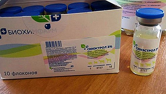 Veterinary drug "Sinestrol": indications and contraindications, instructions