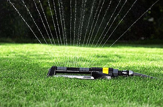Choosing sprinklers for watering the garden