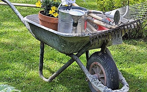 Choosing a cart: garden or construction on wheels