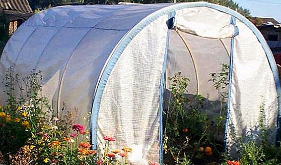 Choosing a film for greenhouses: the main types of greenhouse film and selection criteria