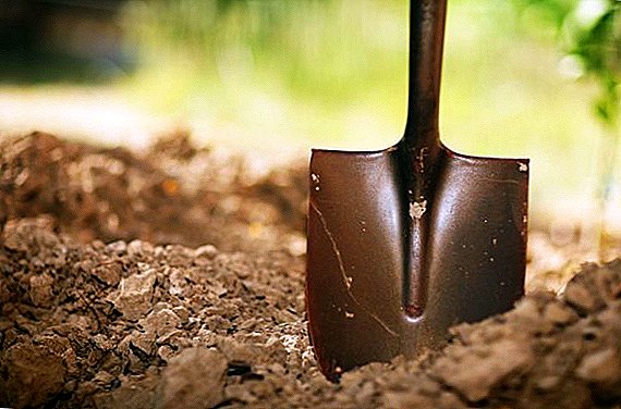 Tipos de herramientas para cavar la tierra.