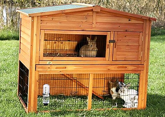 Kinds of cages for rabbits, general principles of cell construction