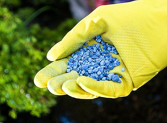 Types of mineral fertilizers, names and descriptions