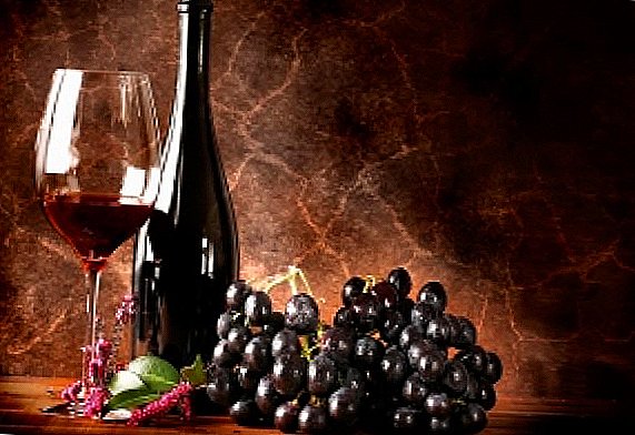 Víno "Isabella": funkcie varenia doma