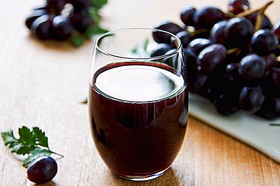 Grape juice: the benefits and harm