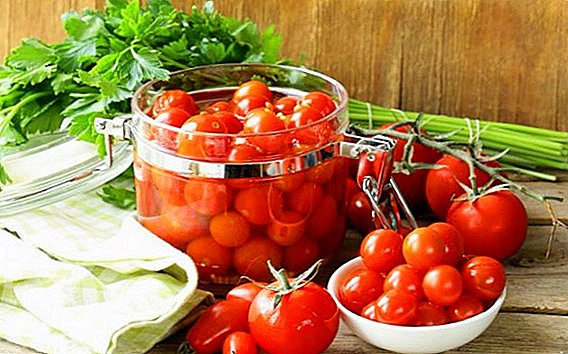 Recetas sabrosas y rápidas paso a paso para cosechar tomates para el invierno con fotos y videos