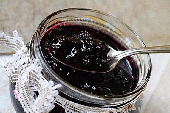 A fekete ribizli lekvár ízletes receptjei a téli időszakban