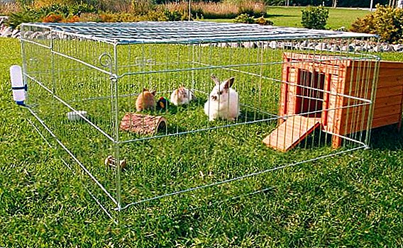 Aviary content of rabbits at home