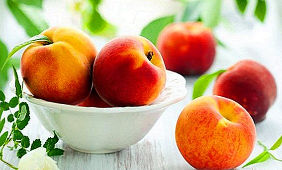 All about nectarine: what fruit is good for the human body