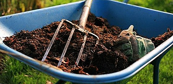 All about the use of horse manure