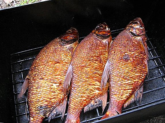 All you need to know about the technology of smoking fish