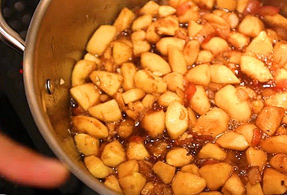 Sosuri de mere: secrete de gătit acasă