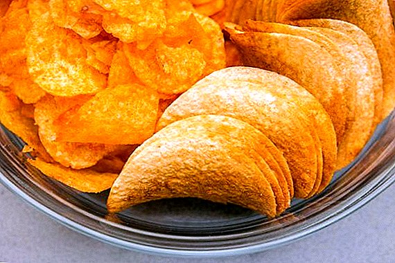 Japanese scientists have created chips that you can drink