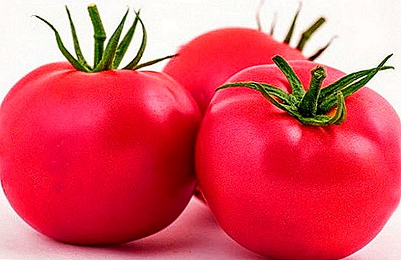 Pink Paradise Japanse hybride: voordelen en nadelen van tomaat