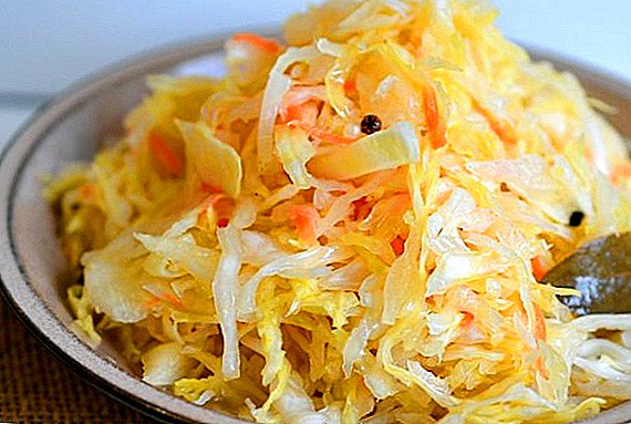 Harvesting cabbage for the winter: the best recipes with photos