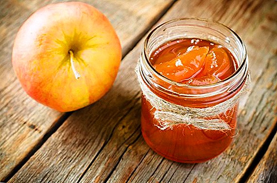 Billets for the winter. How to cook transparent apple jam slices