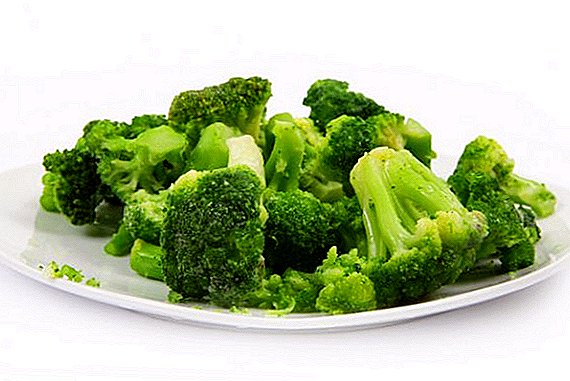Brócoli congelado para el invierno: una receta paso a paso con fotos