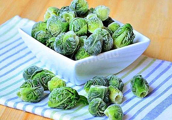 Frozen Brussels sprouts for the winter: a step-by-step recipe with photos
