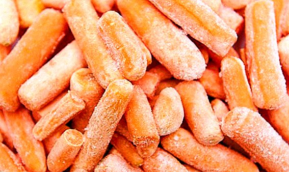 Замразяване на моркови за зимата у дома: най-добрите рецепти