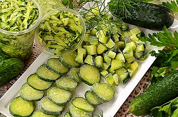 Freezing cucumbers for the winter: the best recipes with photos