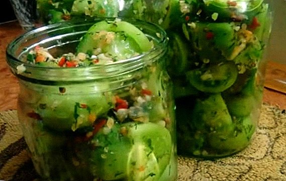 Armēņu zaļie tomāti: recepte ar fotogrāfijām