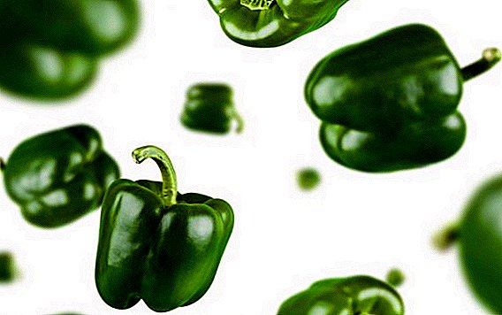 Grøn peber: fordelene og skaden