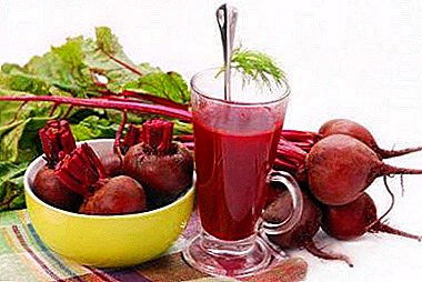 The use of beets with diabetes mellitus: can or not include vegetables in the diet for the 1st and 2nd types of the disease?
