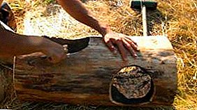 Wideo: Meble z drewna opałowego, część 1