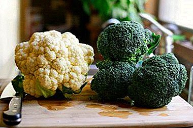 Cari 10 Perbezaan: Brokoli dan Cauliflower