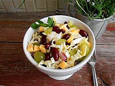 Top 13 salad recipes with Chinese cabbage and grapes