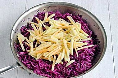 13 delicious stewed red cabbage recipes