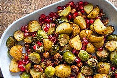 15 delicious Brussels sprouts with chicken, bacon and other products
