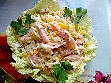 How to cook 18 excellent salads from Peking cabbage with cheese, chicken and other tasty foods?