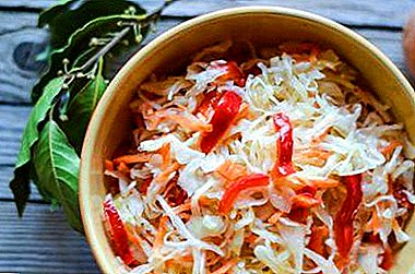 Learn how to cook quick pickled cabbage in 2 hours and what is the benefit of this dish?