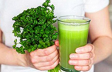 Top 6 best parsley recipes for weight loss. Chemical composition, benefits and harm of green