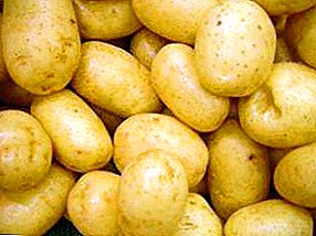 60denní brambor "Triumph": popis odrůdy pro milovníky brzkých brambor