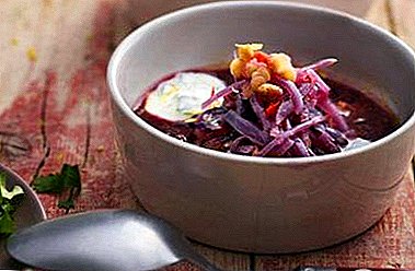7 recipes of original cabbage soup from red cabbage for every taste - surprise your loved ones!