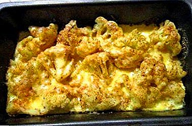 Cooking cauliflower diets - 7 simple recipes for the oven