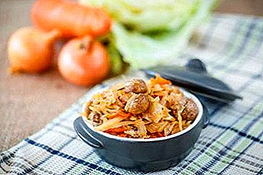Delicious cabbage rolls with carrots and 7 more recipes for cooking dishes with pickled cabbage