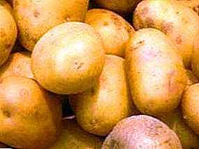 Opbrengst en weinig veeleisende aardappelen BP 808: beschrijving van het ras, zijn kenmerken, foto's