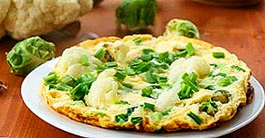 Appetizing and healthy cauliflower omelette recipes baked in the oven