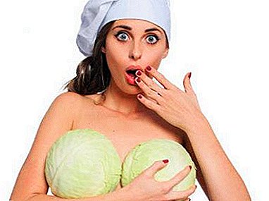 “Grandma's tales” or reality? Whether the breast grows from cabbage - we learn!