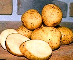 Λευκορωσική ομορφιά - περιγραφή μιας νόστιμης και γόνιμης ποικιλίας πατάτας "Yanka"