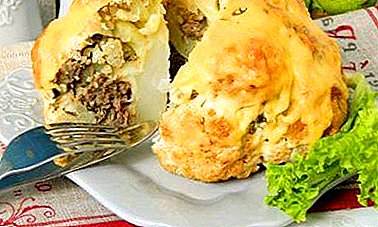 Quick recipes for baked cauliflower with minced meat and vegetables