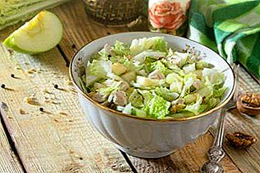 Quick and tasty: recipes and variations of salad with Chinese cabbage and apple
